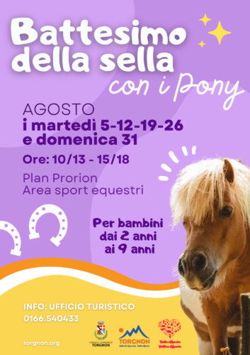 _Pony 2025 (2)