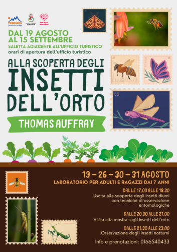Insetti