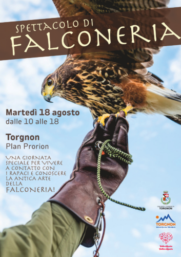 Falconeria 2026